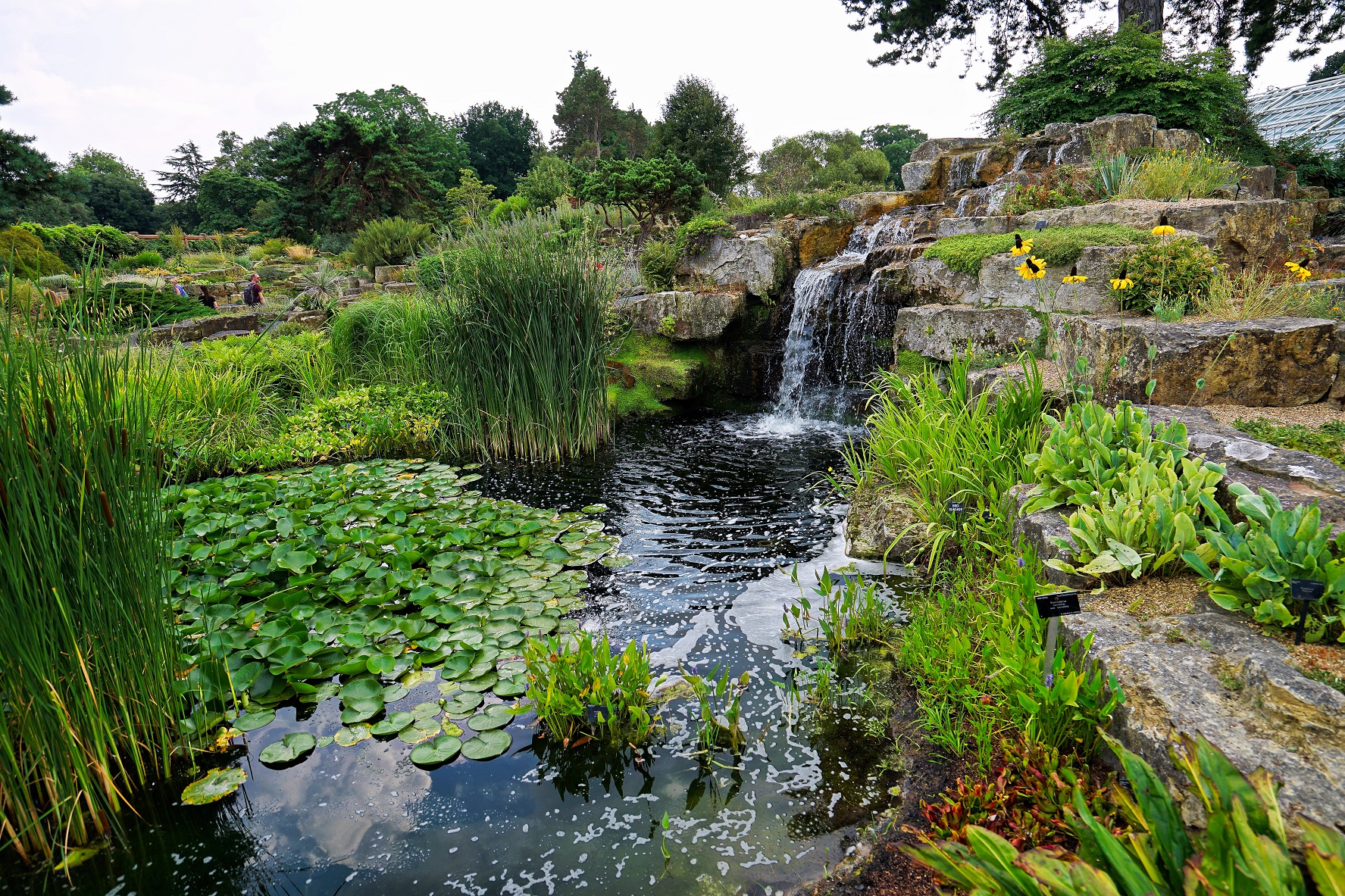 Kew Gardens UY World